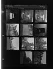 Fall Pictures (11 Negatives) (November 11, 1960) [Sleeve 27, Folder c, Box 25]